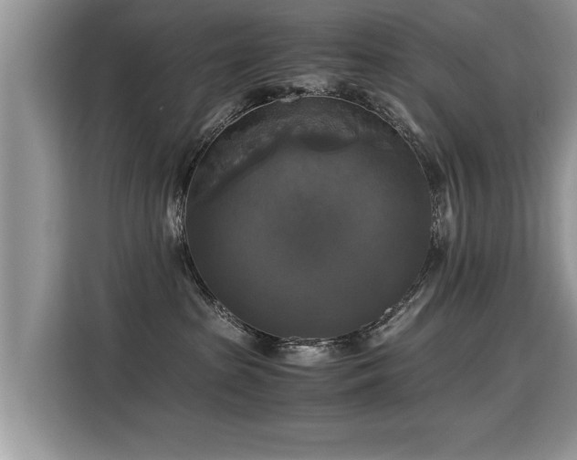 X0000115310285200911091143
