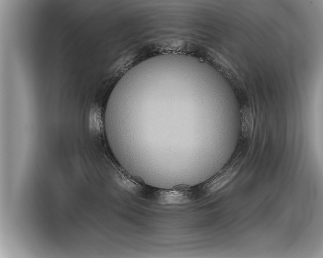 X0000115310287200911091143