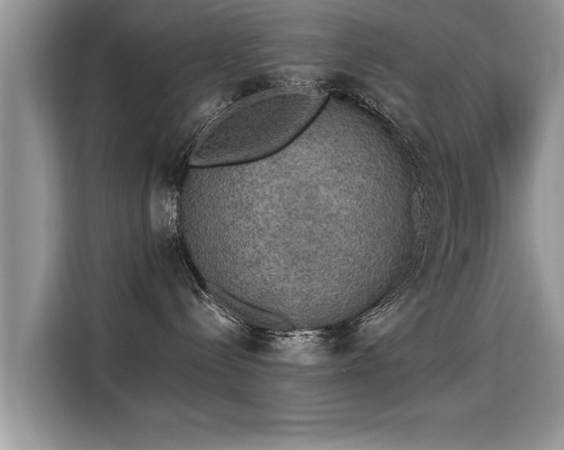 X0000115310288200911091143