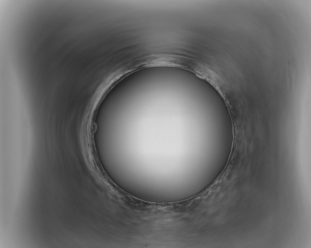X0000115310289200911091142