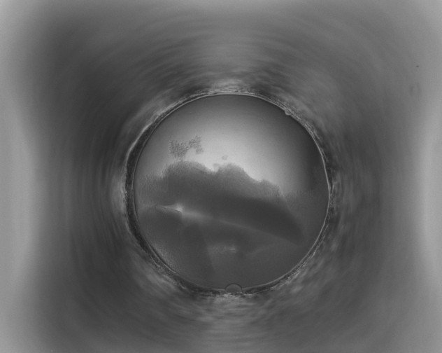 X0000115310290200911091142