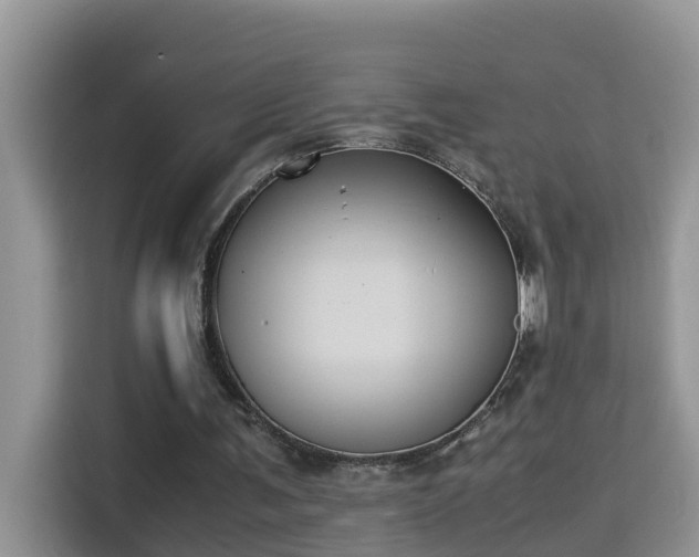 X0000115310291200911091142