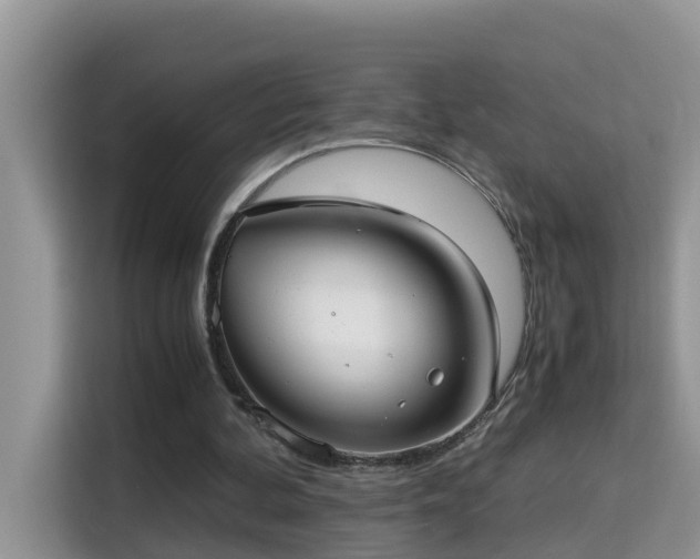 X0000115310292200911091142
