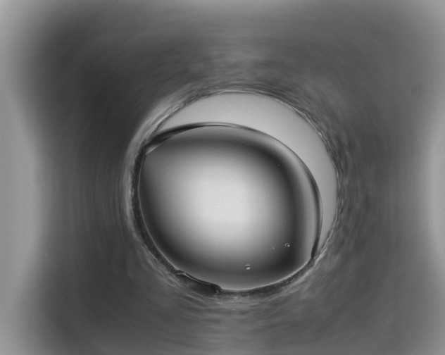X0000115310293200911091142