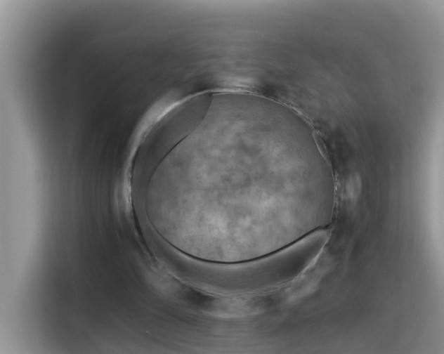 X0000115310294200911091142