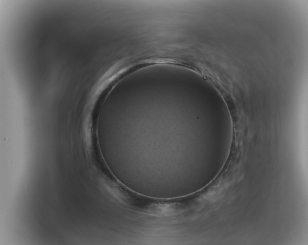 X0000115310295200911091142