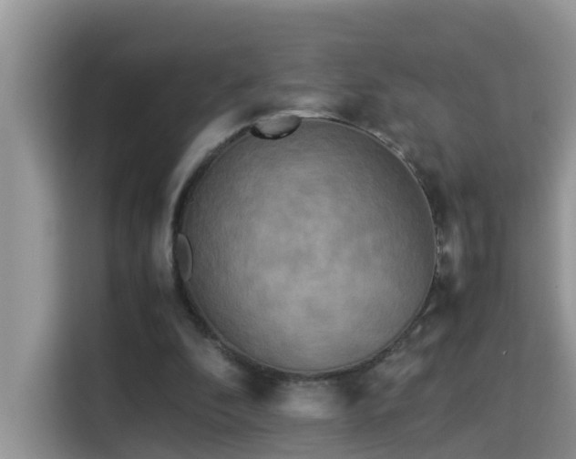 X0000115310296200911091142
