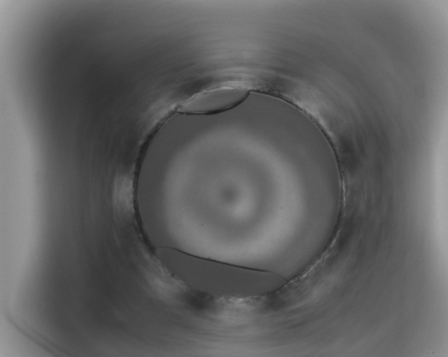 X0000115310297200911091142