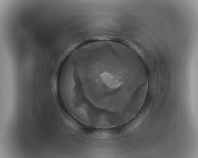 X0000115310299200911091142