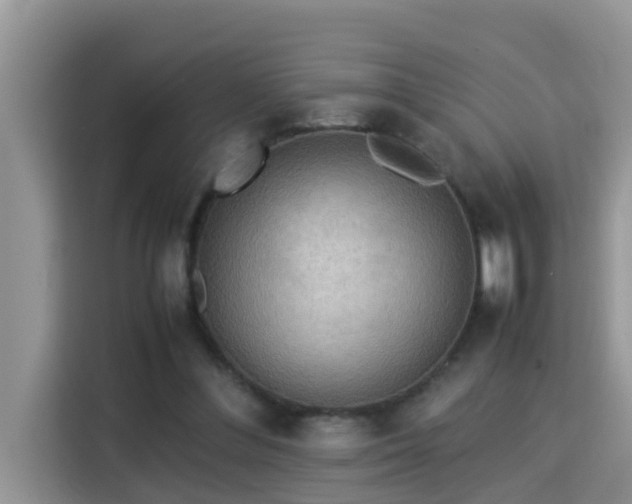 X0000115310300200911091142