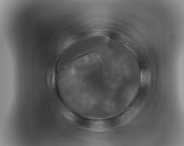 X0000115310301200911091142