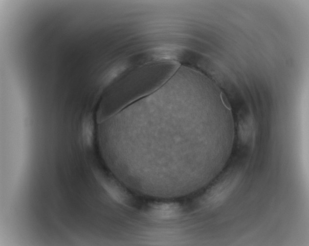 X0000115310304200911091142