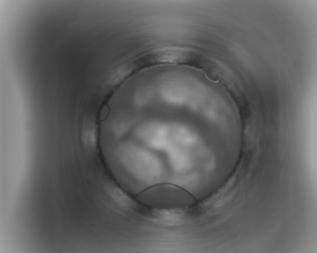 X0000115310305200911091142