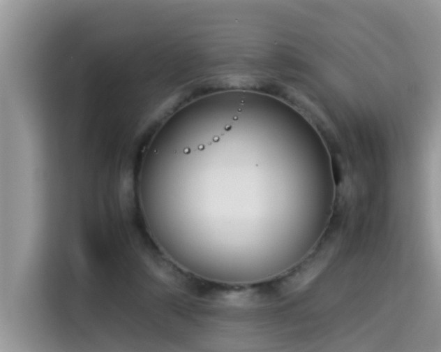 X0000115310306200911091142