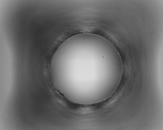 X0000115310307200911091142