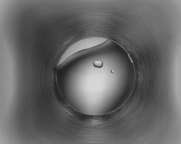 X0000115310308200911091142