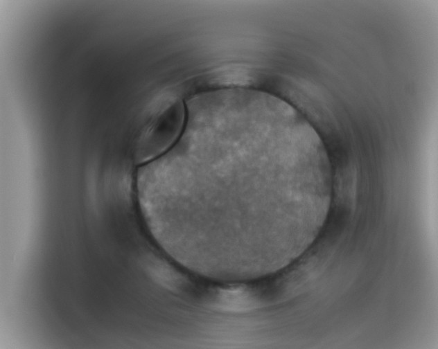 X0000115310309200911091142