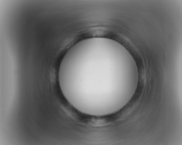 X0000115310311200911091142