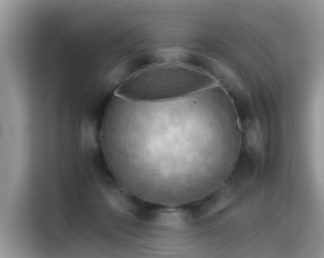 X0000115310316200911091142