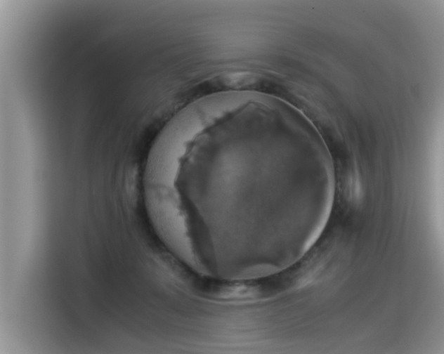 X0000115310319200911091142