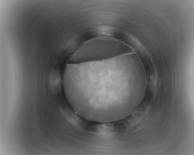 X0000115310320200911091142