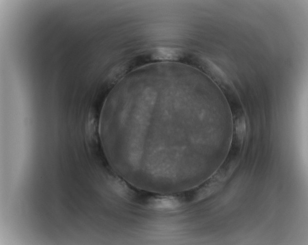 X0000115310322200911091142