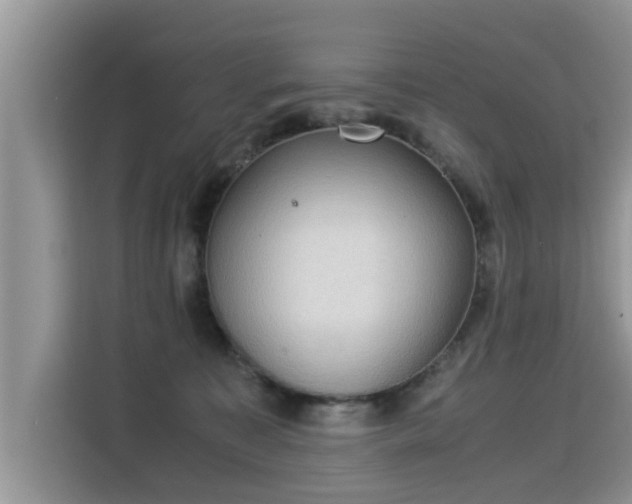 X0000115310323200911091142