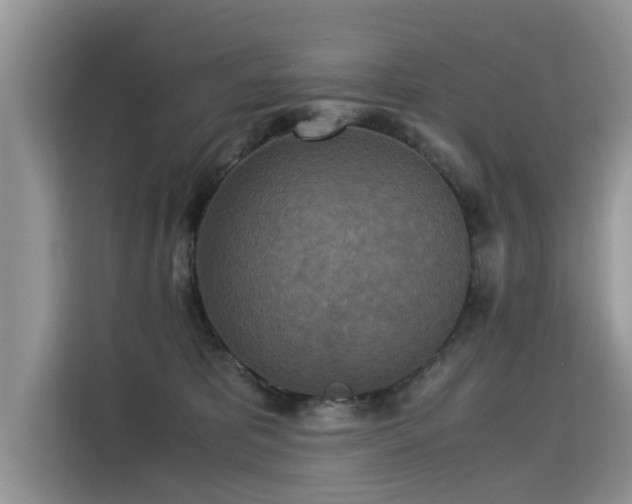 X0000115310325200911091142