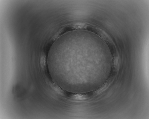 X0000115310326200911091142