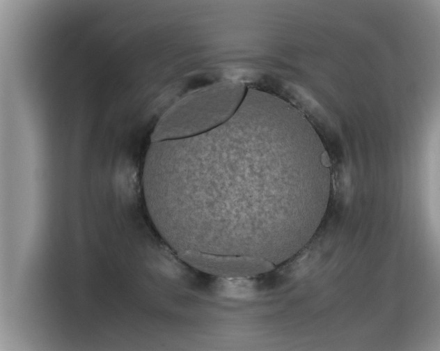 X0000115310327200911091142