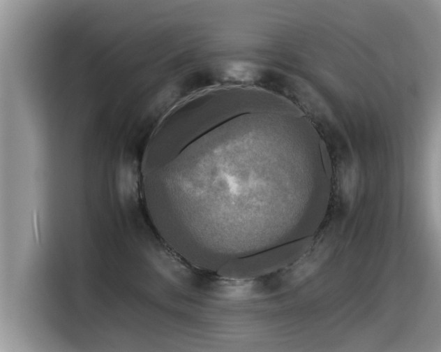 X0000115310328200911091142