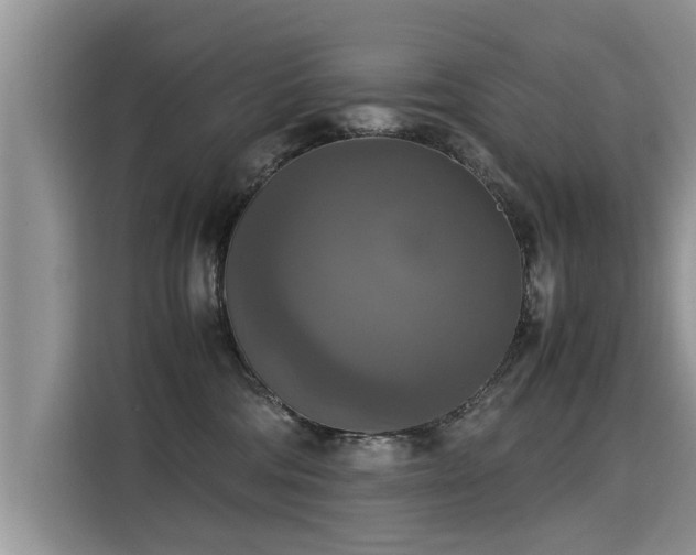 X0000115310330200911091142