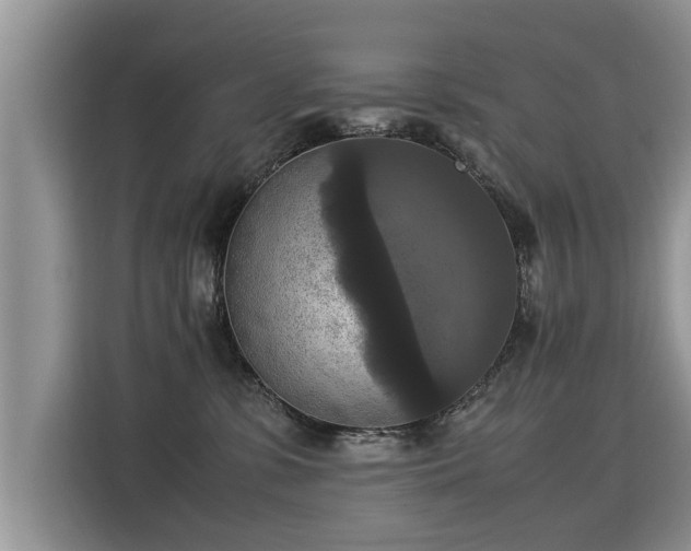 X0000115310331200911091142