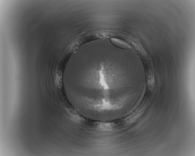 X0000115310332200911091142