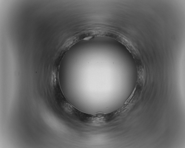 X0000115310333200911091142