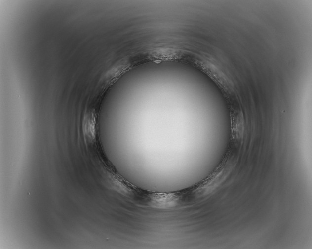 X0000115310334200911091142
