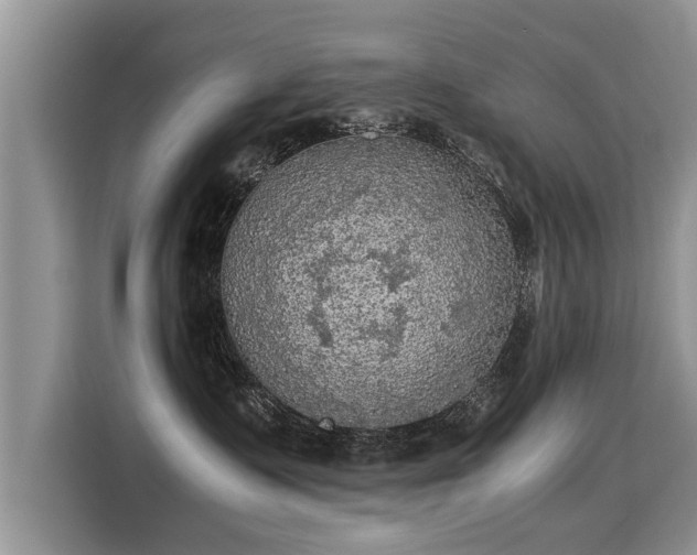 X0000115310335200911091142