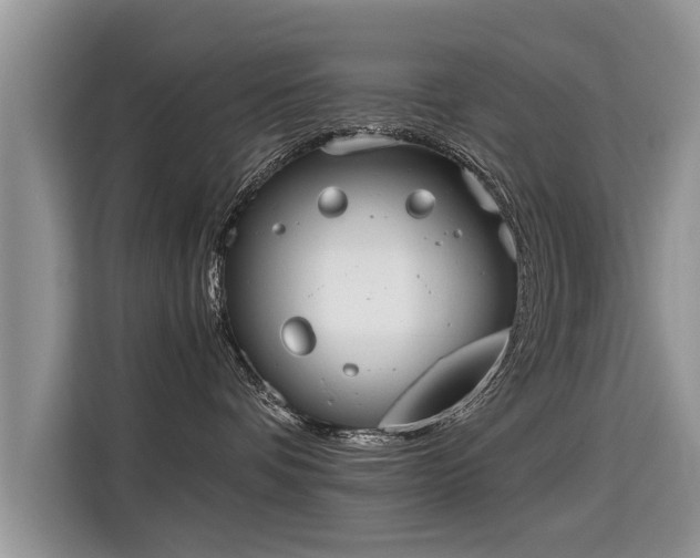 X0000115310336200911091142