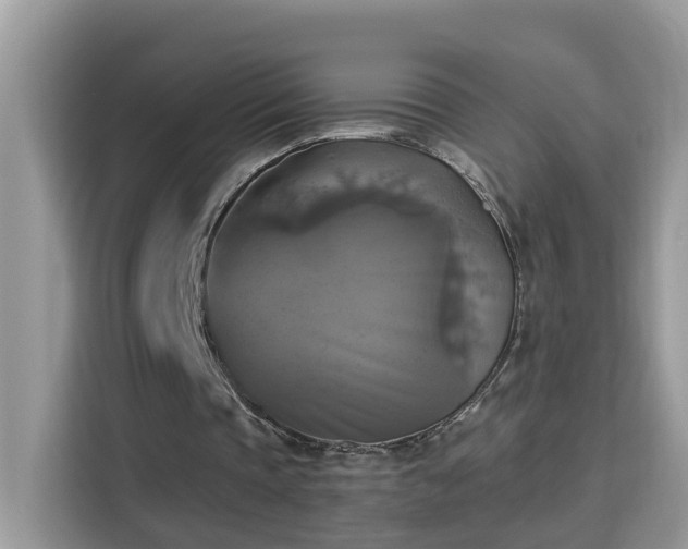 X0000115310337200911091141
