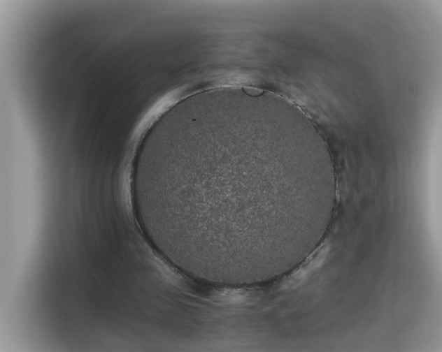 X0000115310341200911091141