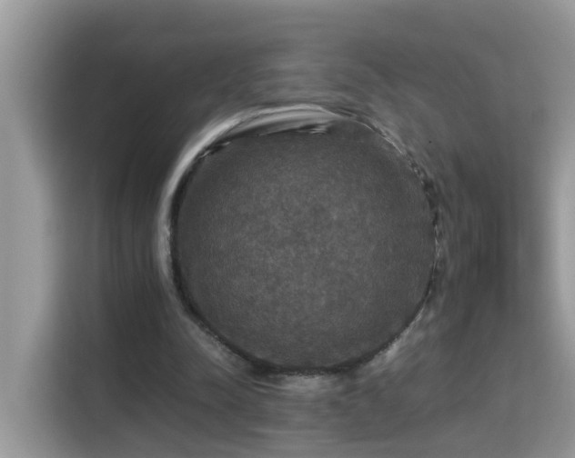 X0000115310342200911091141