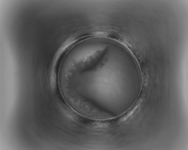 X0000115310343200911091141