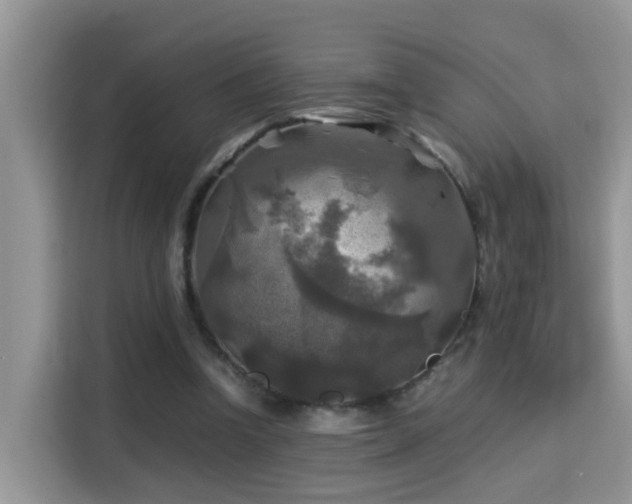 X0000115310346200911091141