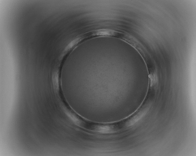 X0000115310349200911091141