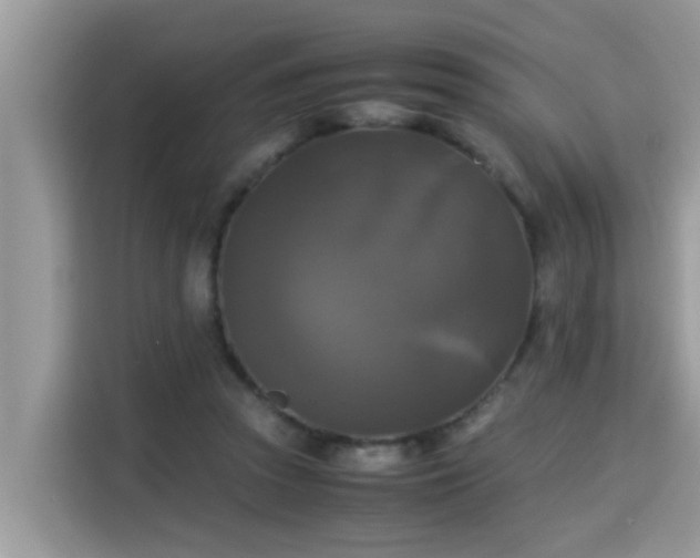 X0000115310353200911091141