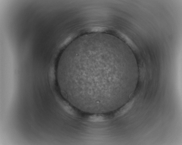 X0000115310354200911091141