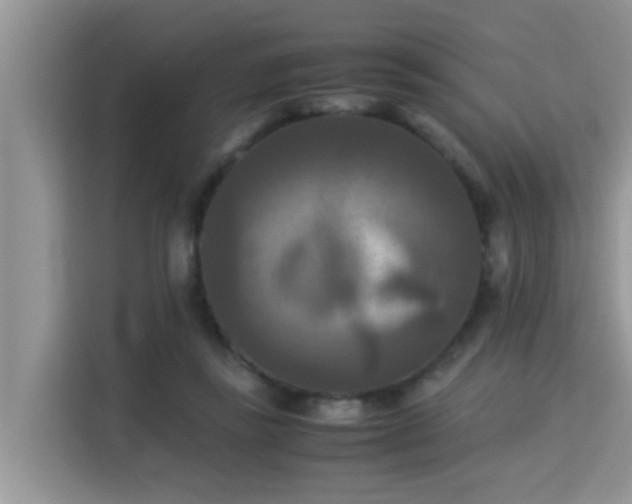 X0000115310355200911091141