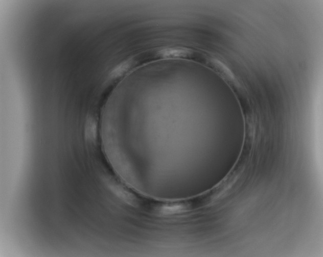 X0000115310357200911091141