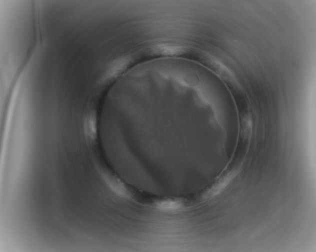 X0000115310358200911091141