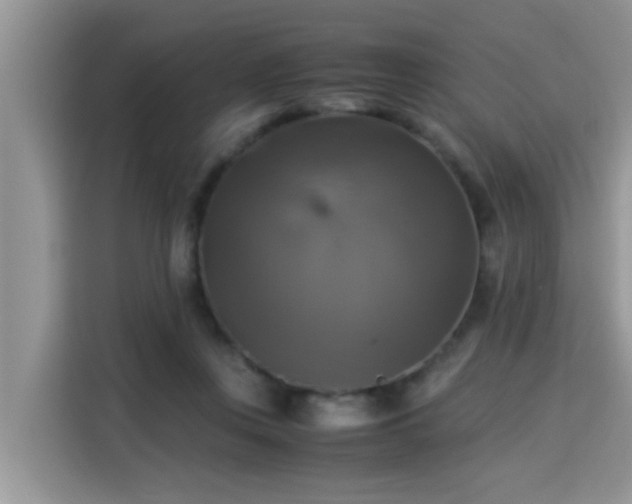 X0000115310359200911091141